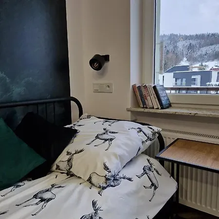 Apartament Ksiezycowy Wisla Exterior photo